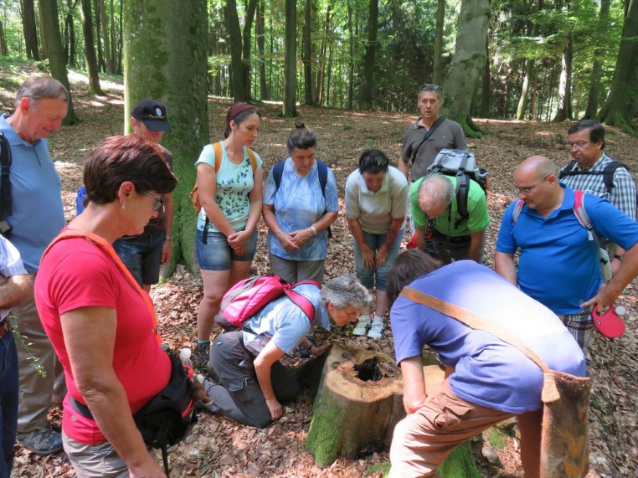 Exkursion Buchkogel Exkursion Buchkogel