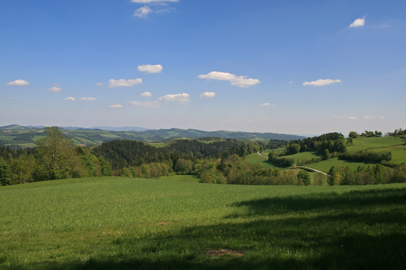 Blick übers Pinkatal bei Baumgarten 