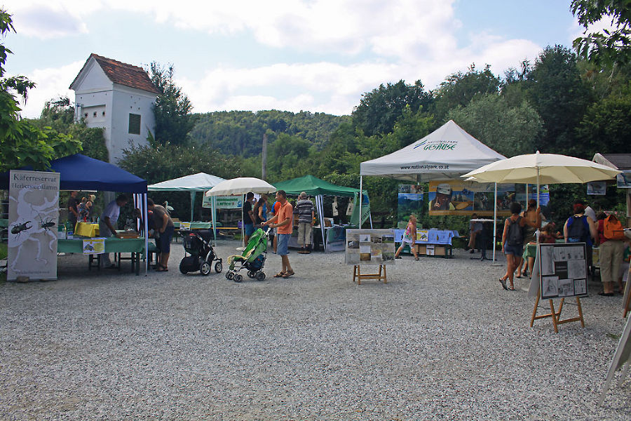 Artenschutztag Herberstein