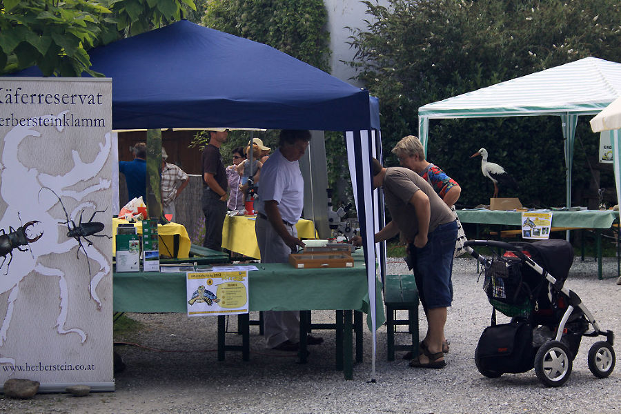 Infostand Käferwelt Herberstein