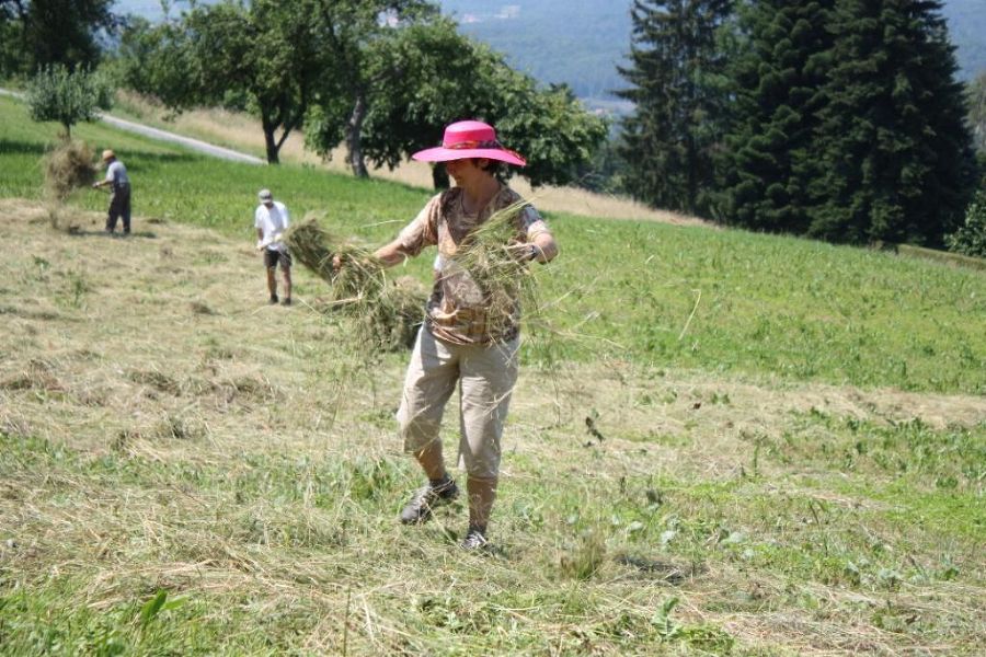 Mähgut verteilen Mähgut verteilen