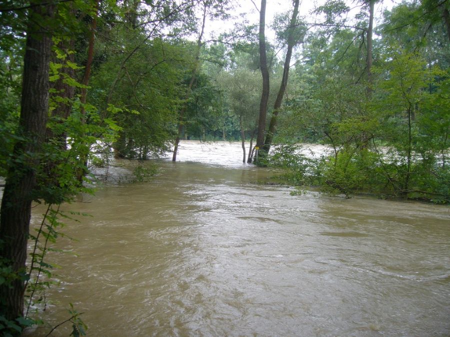 Murhochwasser Murhochwasser