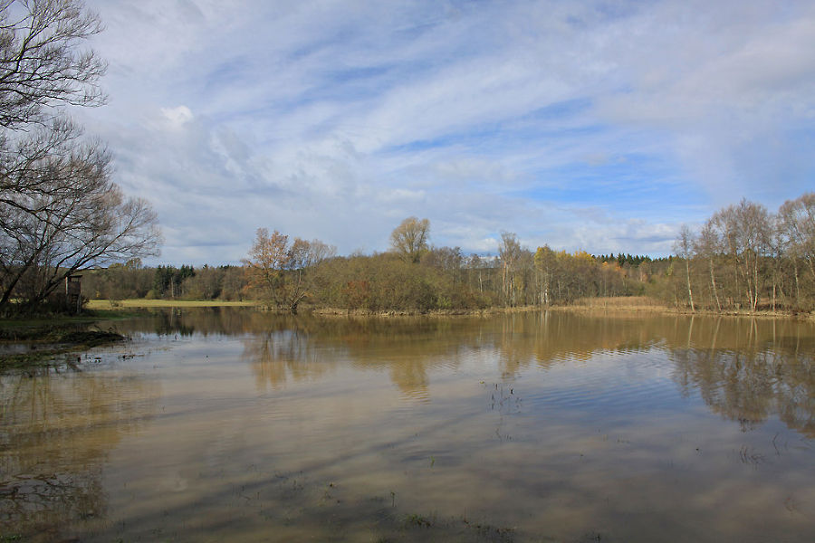 Überflutete Wiese