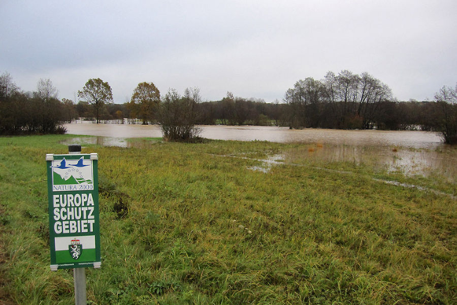 Überflutete Wiese in Unterrohr