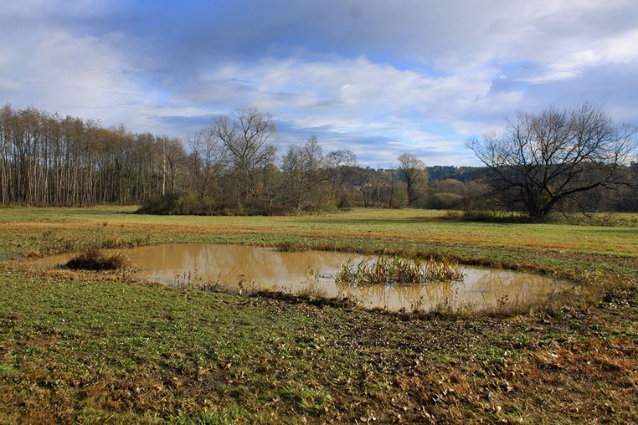 Lafnitzwiese nach Rückzug des Wassers