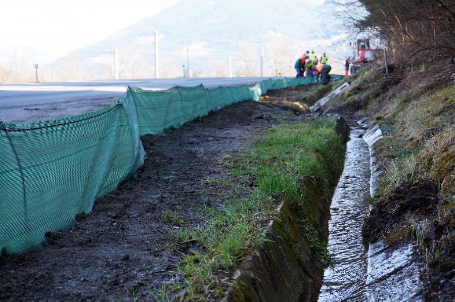 Amphibienschutz an der Gamperlacke