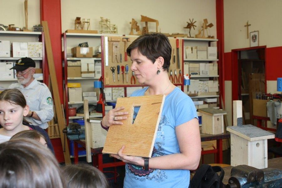 VS Ehrenhausen baut Nistkästen für Singvögel VS Ehrenhausen baut Nistkästen für Singvögel